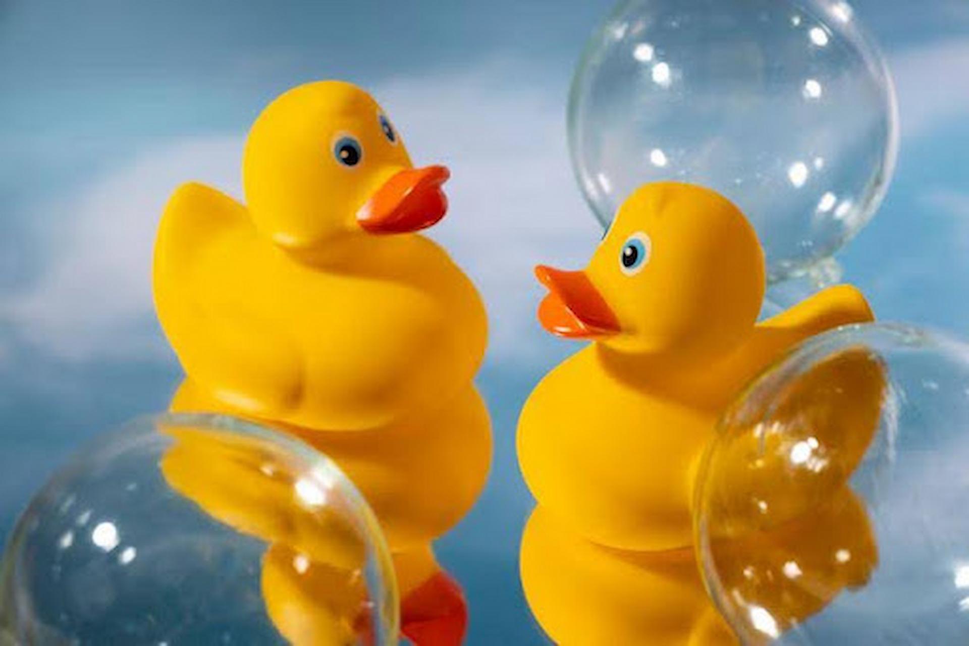 Giant Inflatable Duck